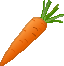 Carrot