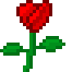 Valentine's Rose Hunt